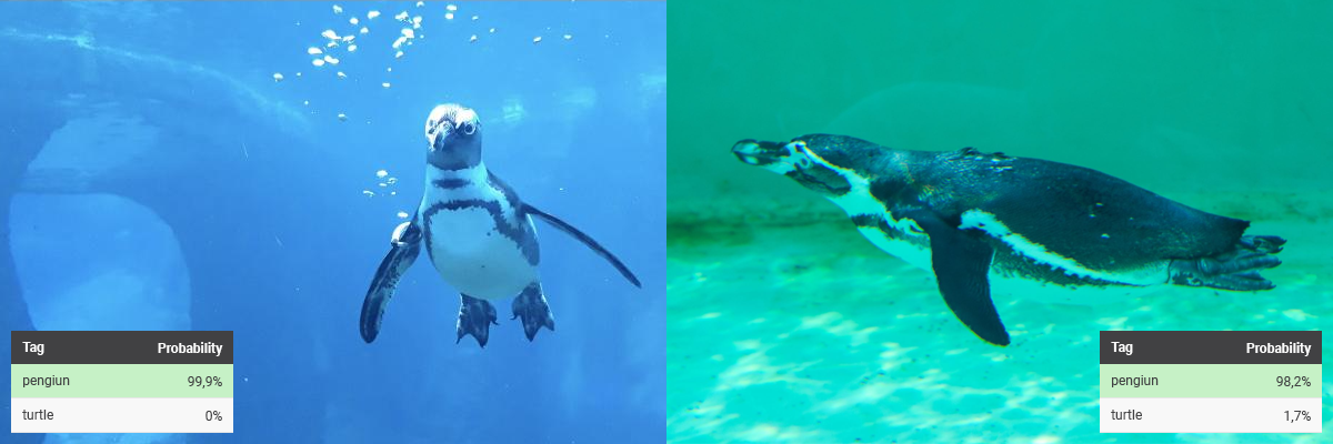 Computer vision accurately detecting two swimming penguins, aided by the use of synthetic data Computer vision accurately detecting two swimming penguins, aided by the use of synthetic data