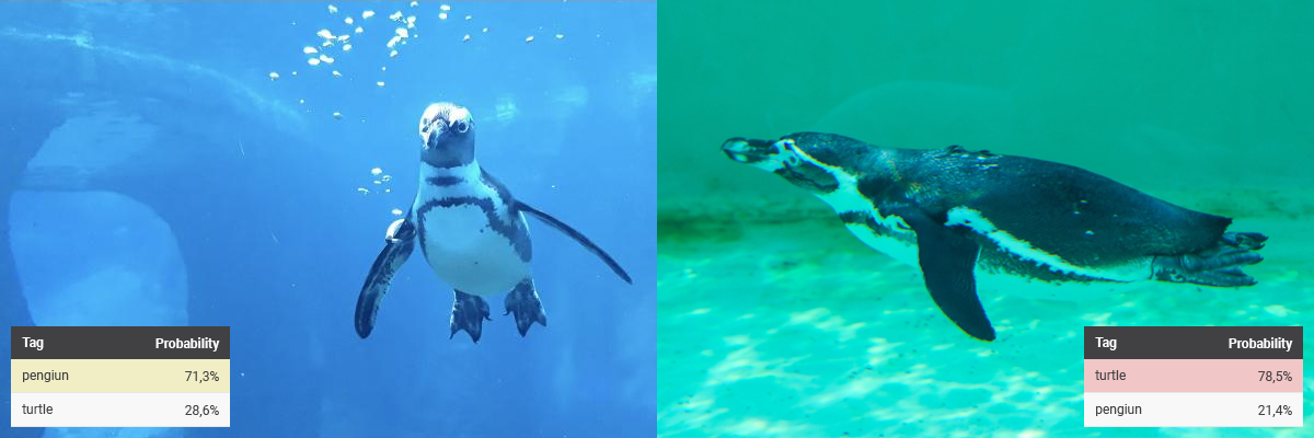 Two penguins detected swimming by the computer vision as for the first result Two penguins detected swimming by the computer vision as for the first result