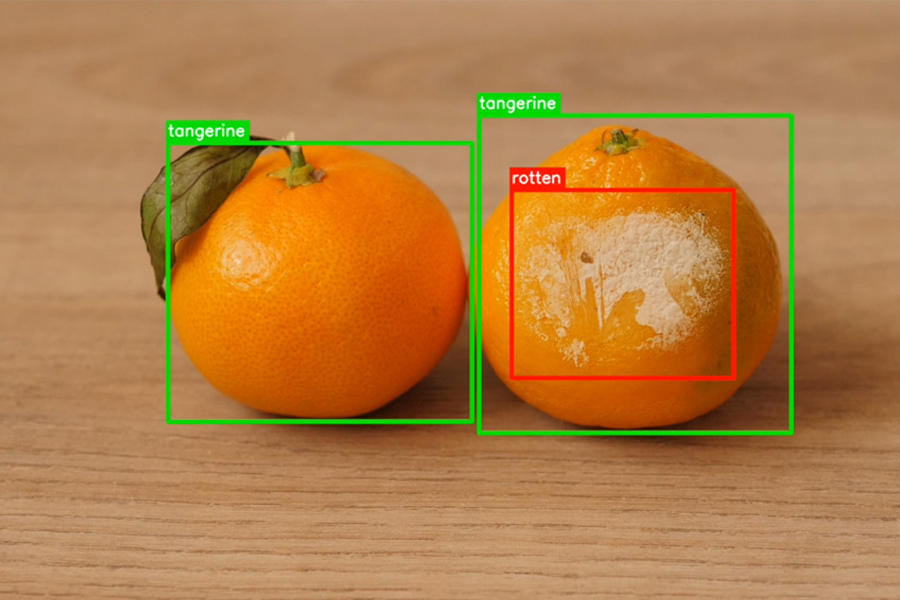 Transforming Agriculture with Computer Vision and Synthetic Data